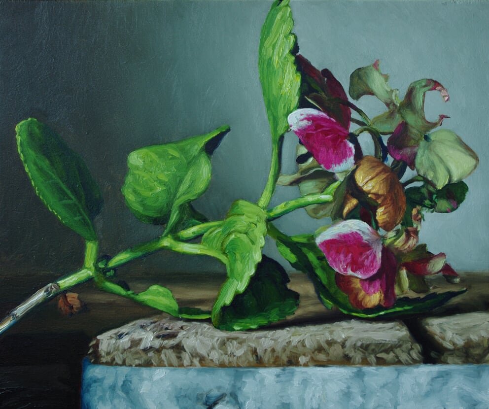'Hortensia II', Jan Neven, olieverf op paneel, 30 x 25 cm, 2018